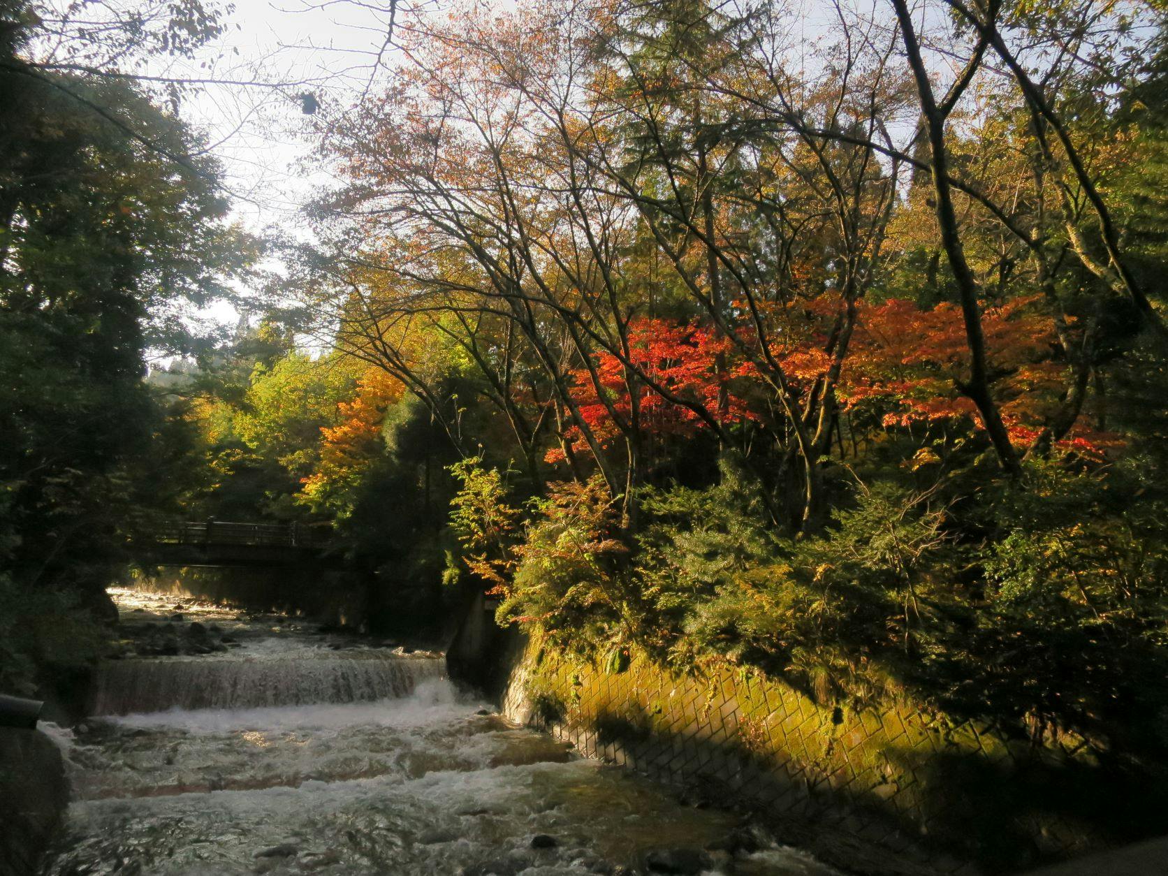 花仙庵　仙仁温泉岩の湯