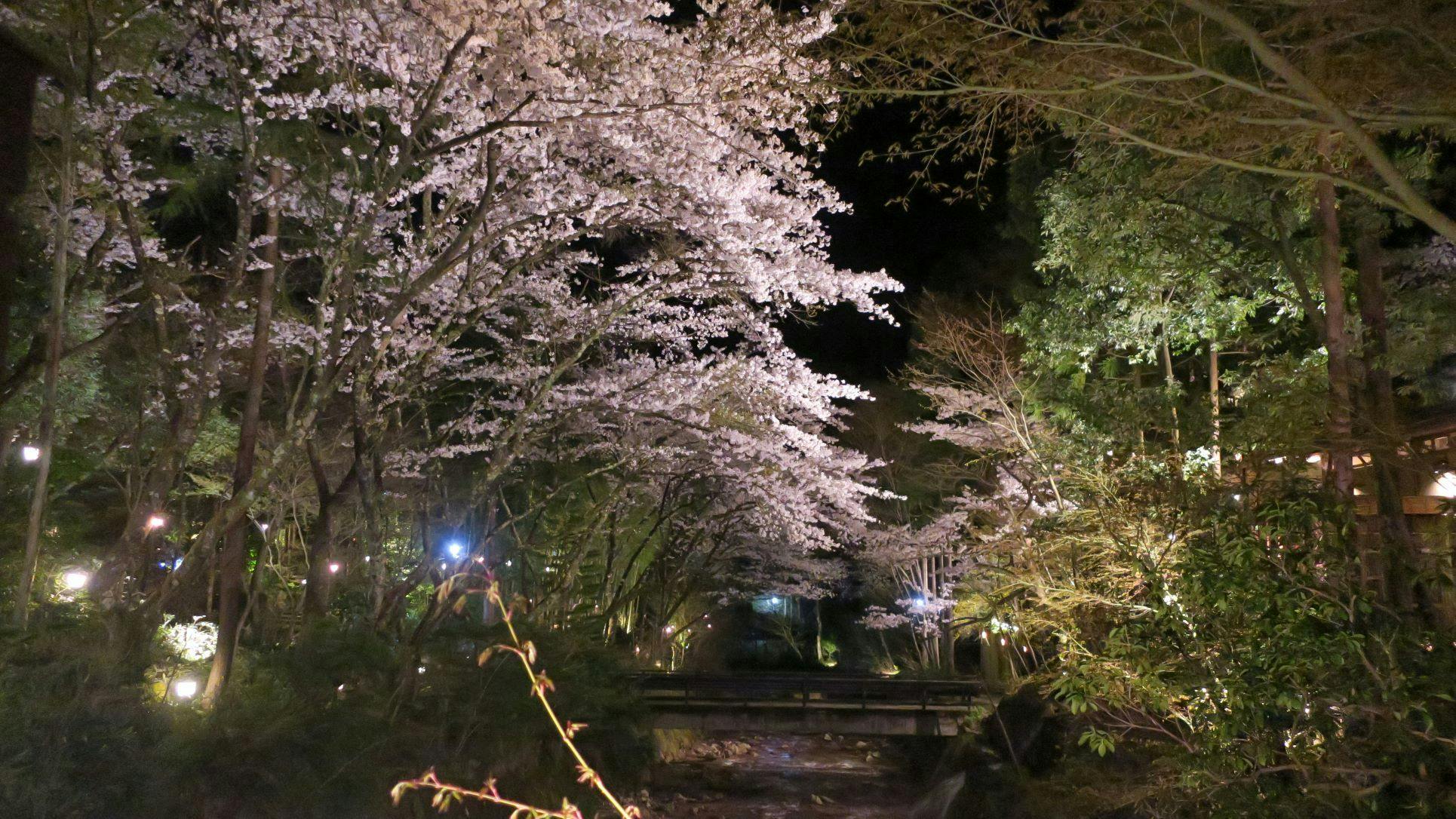 花仙庵　仙仁温泉岩の湯