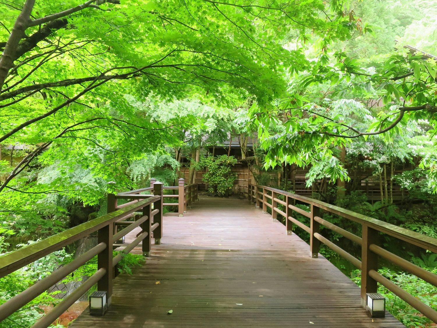 花仙庵　仙仁温泉岩の湯