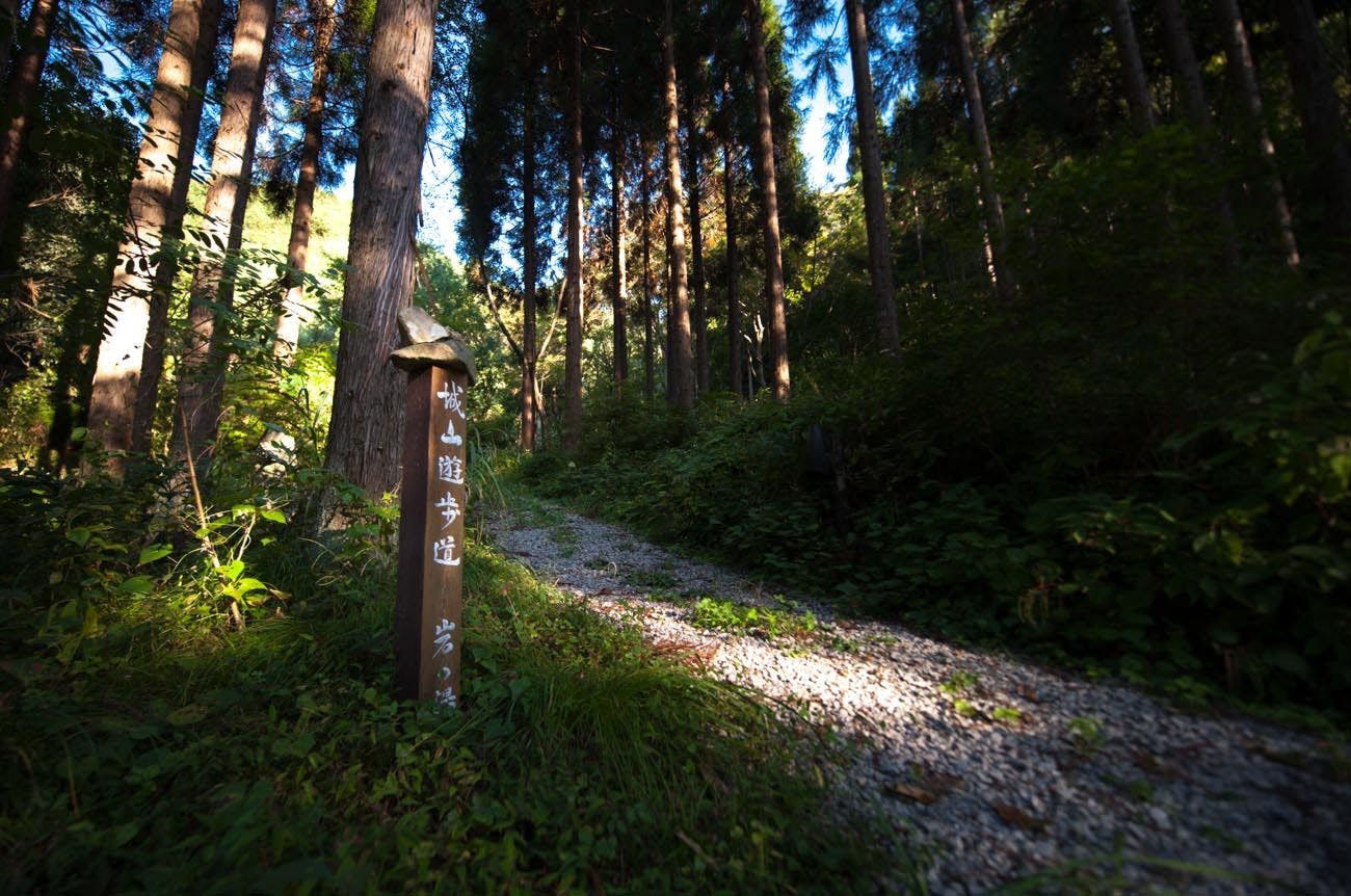 裏山の遊歩道