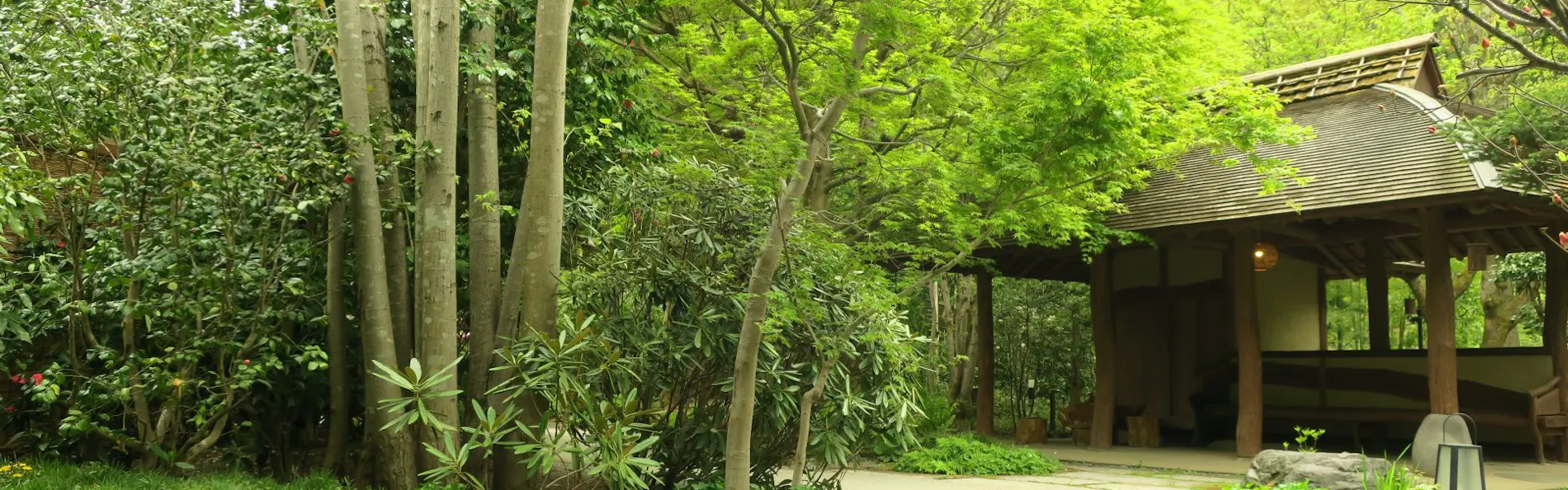 花仙庵 仙仁温泉岩の湯