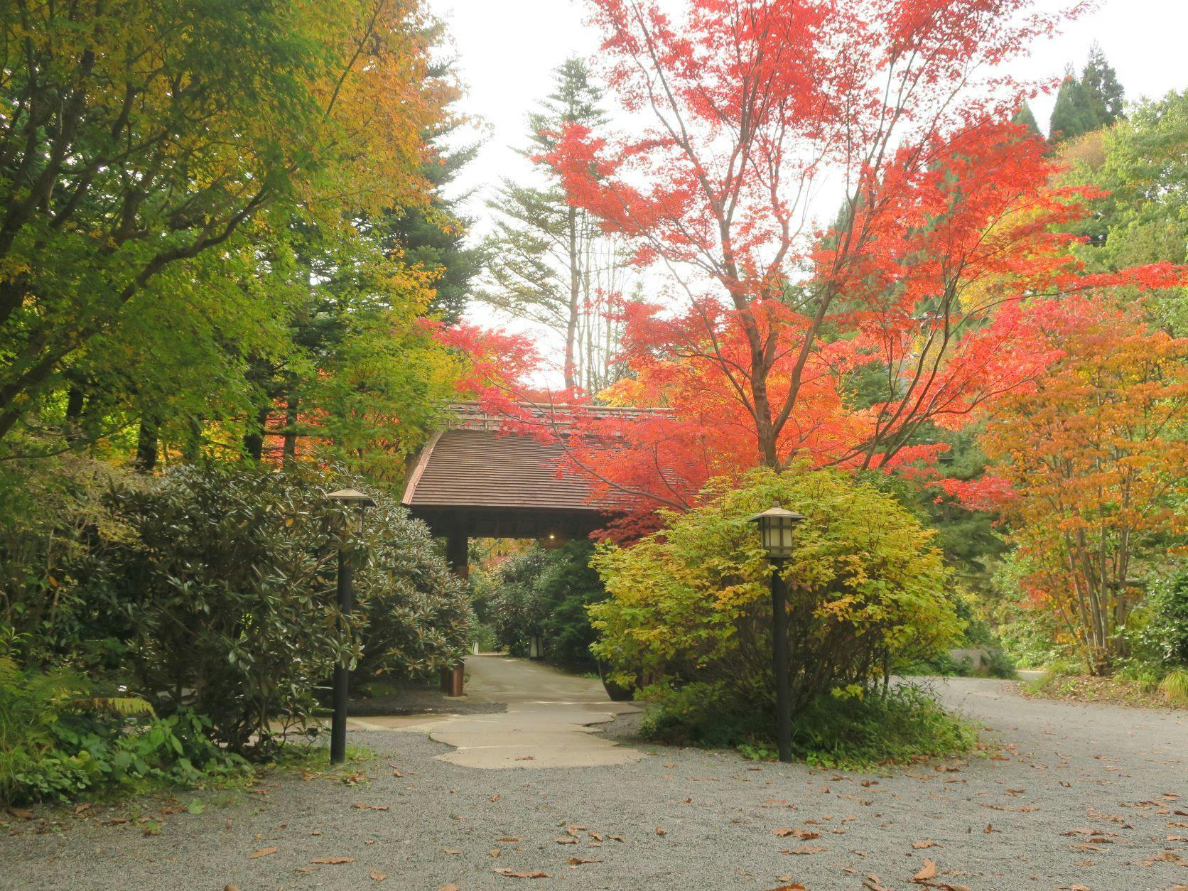 花仙庵　仙仁温泉岩の湯