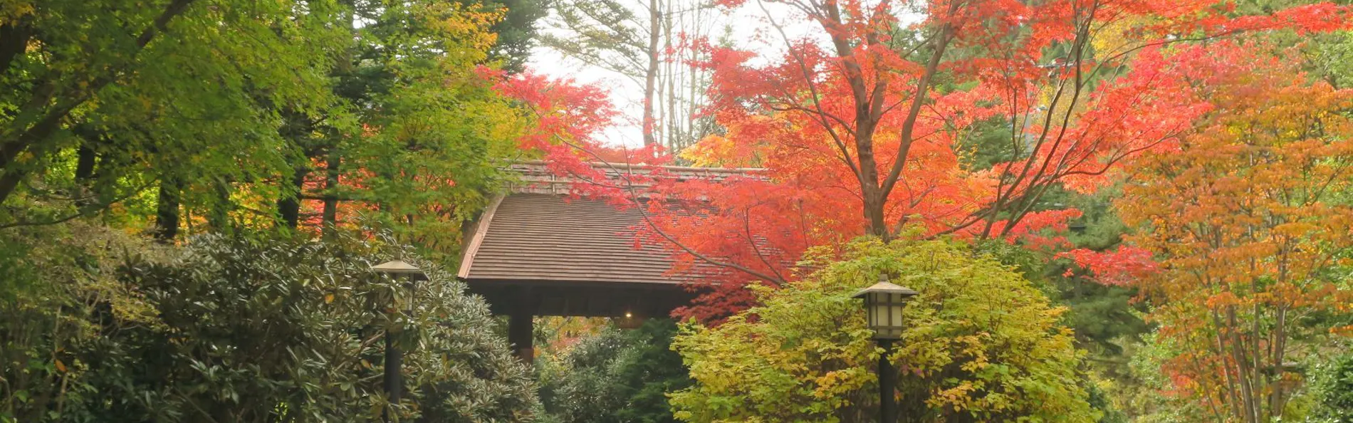 花仙庵 仙仁温泉岩の湯