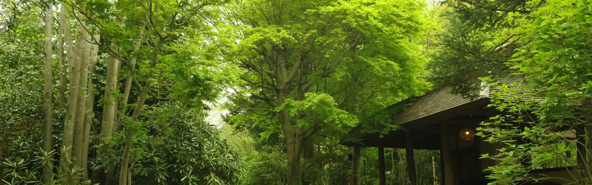 花仙庵 仙仁温泉岩の湯