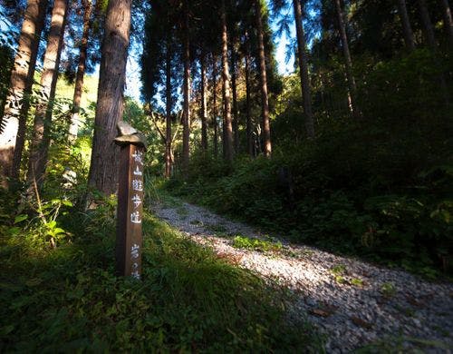 裏山の遊歩道