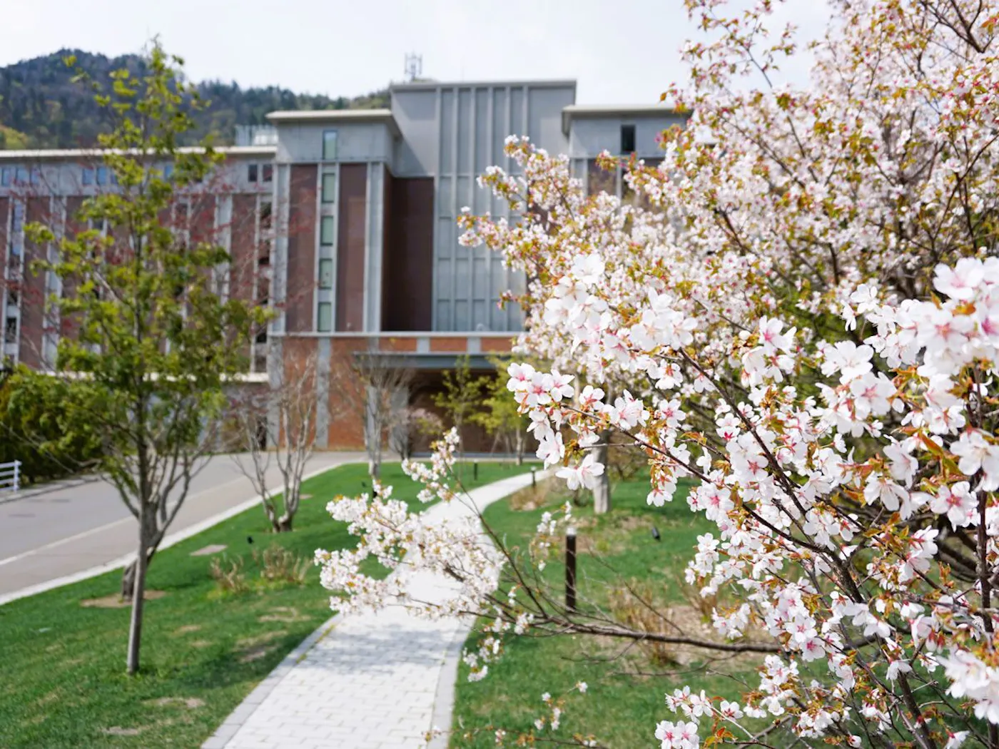 グランドブリッセンホテル定山渓:ホテル外観と桜