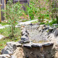 บ้านโบราณในพื้นที่