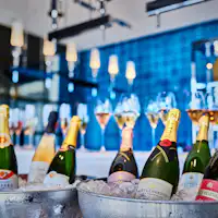 【VIP 풀 바】 OASIS