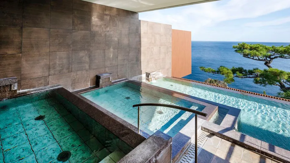 Hotel New Akao