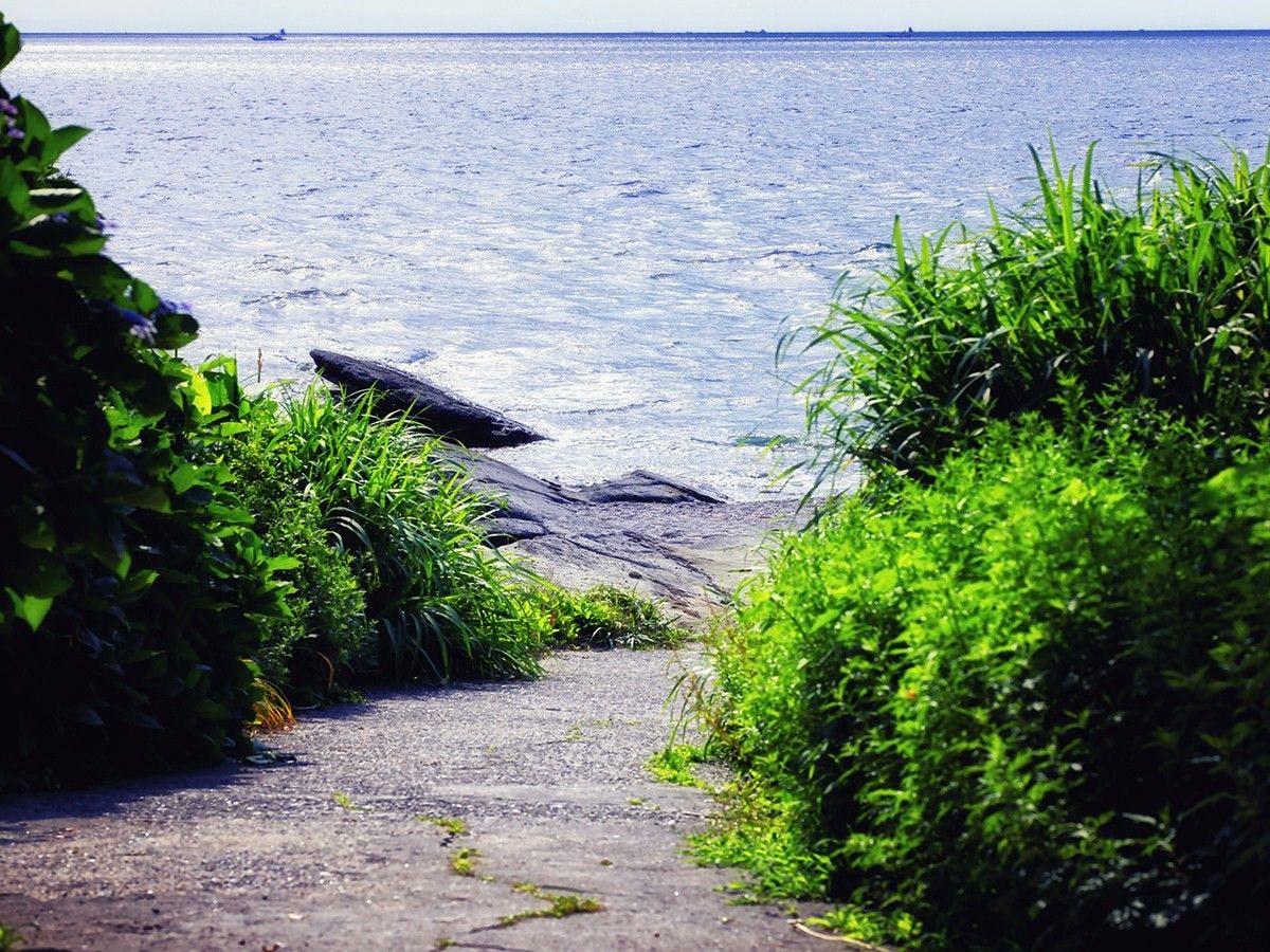 海と自然に囲まれたホテル