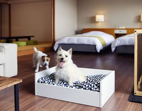 ドッグフレンドリースイート(和洋室) 海側