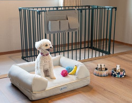 ドッグフレンドリールーム※写真はイメージ