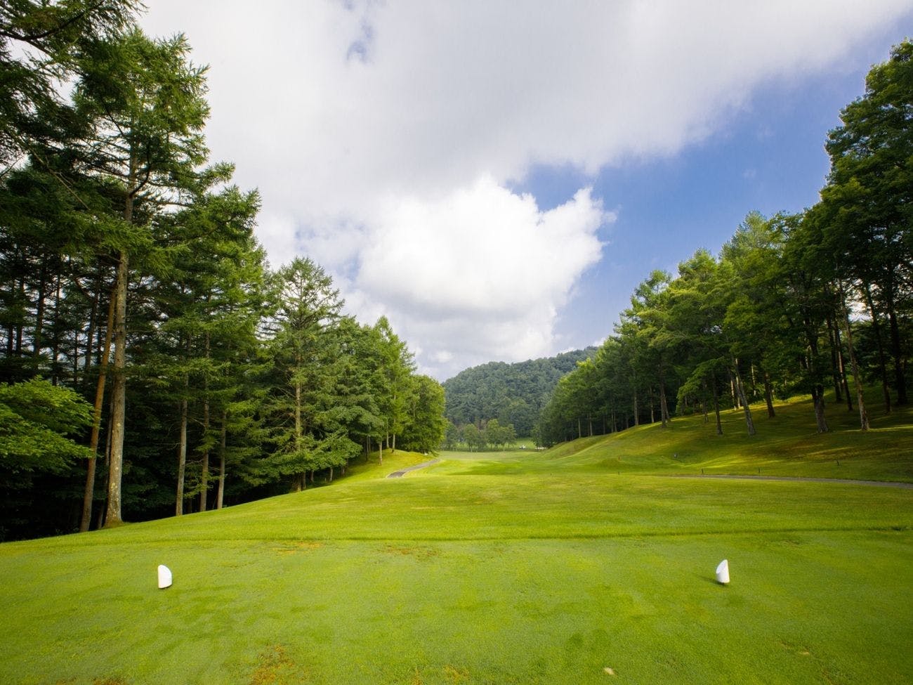 プリンス バケーション クラブ 軽井沢浅間