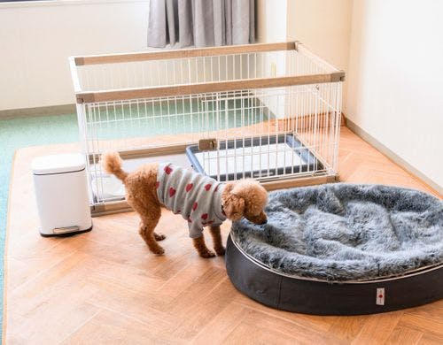 ドッグフレンドリー・クラシックツイン