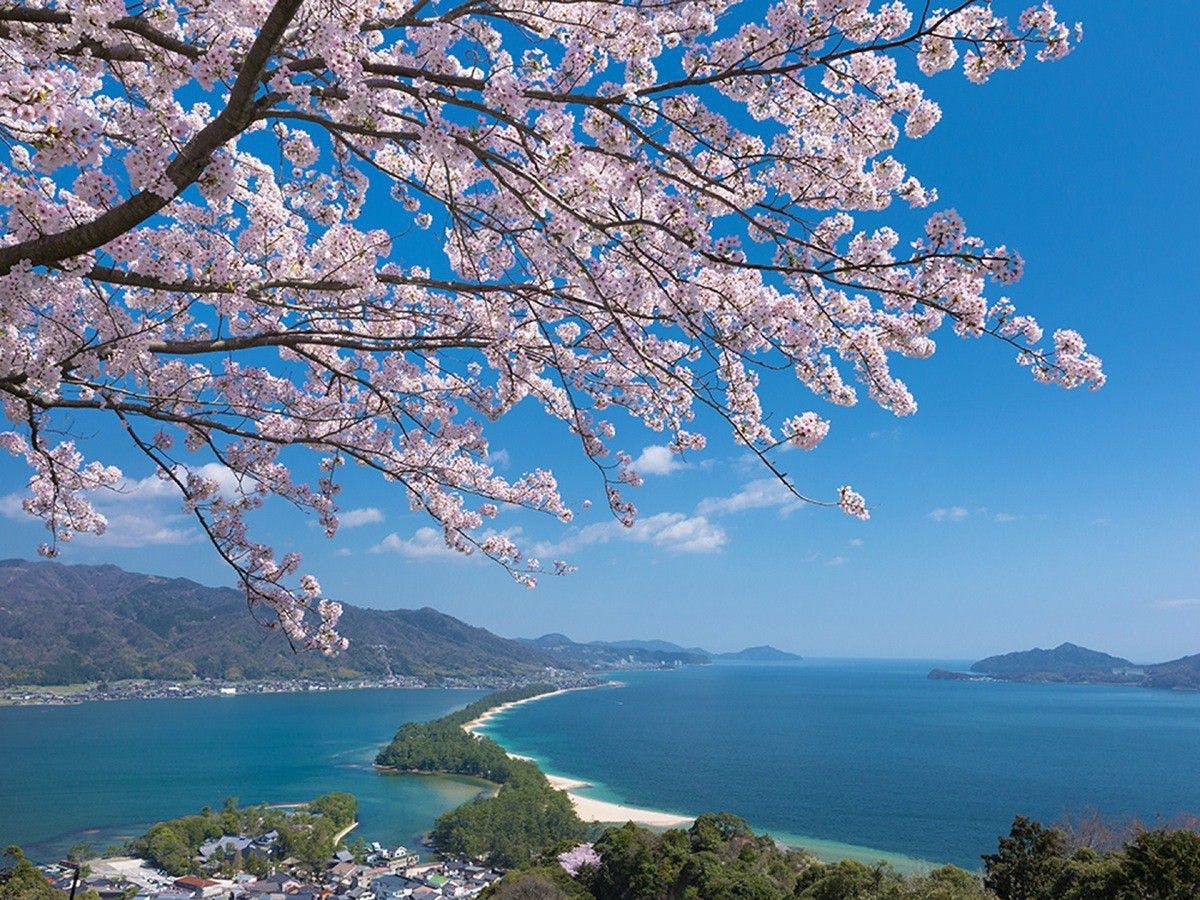 周辺／天橋立ビューランド一例