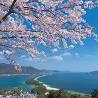 周辺/天橋立ビューランド一例