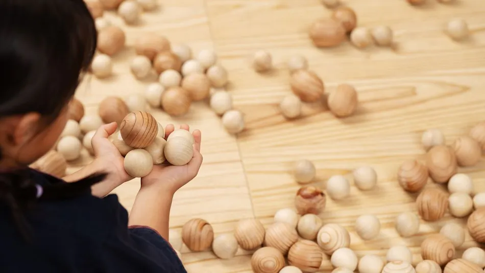 Mercure Kyoto Miyazu Resort & Spa
