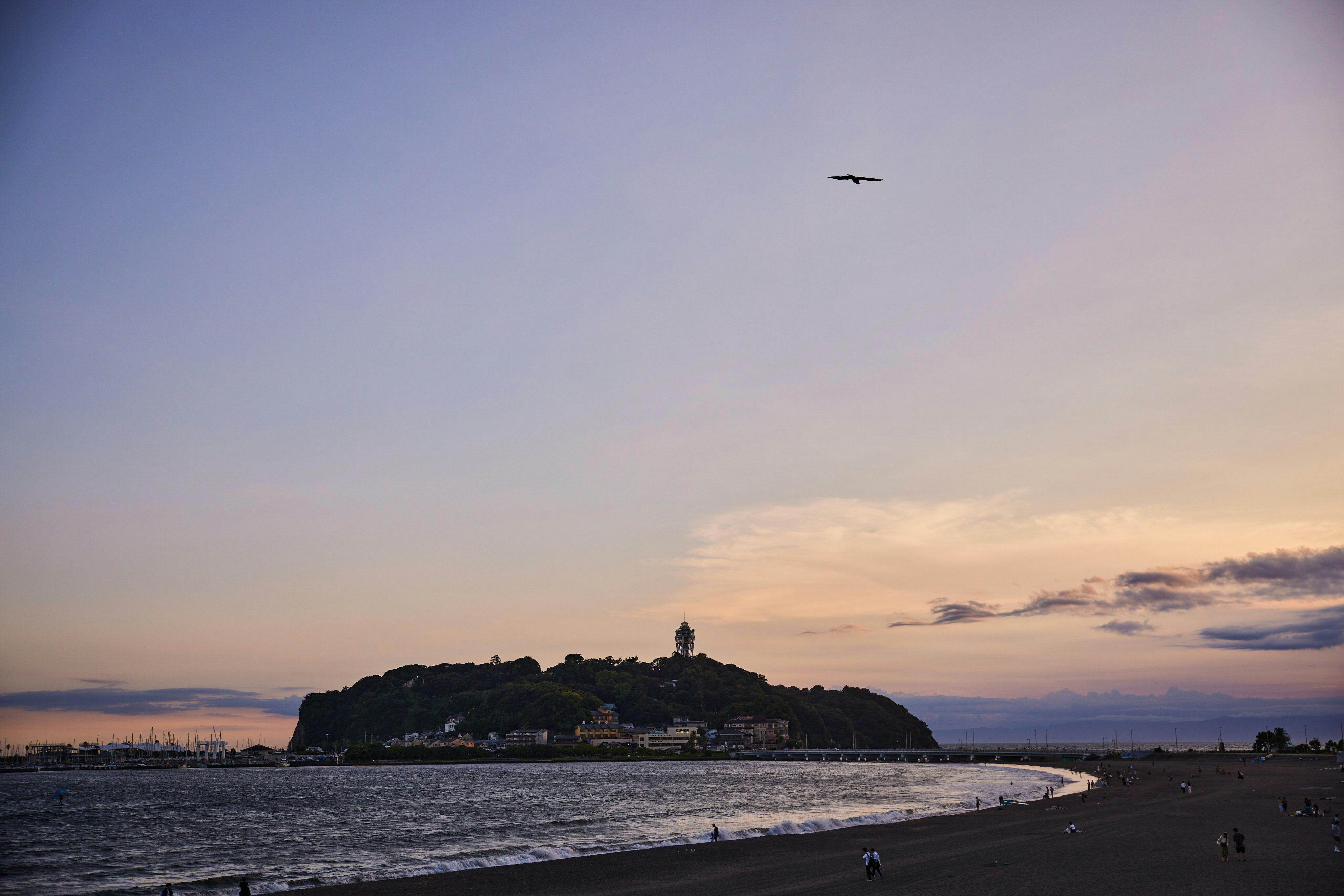 UMITO KAMAKURA KOSHIGOE