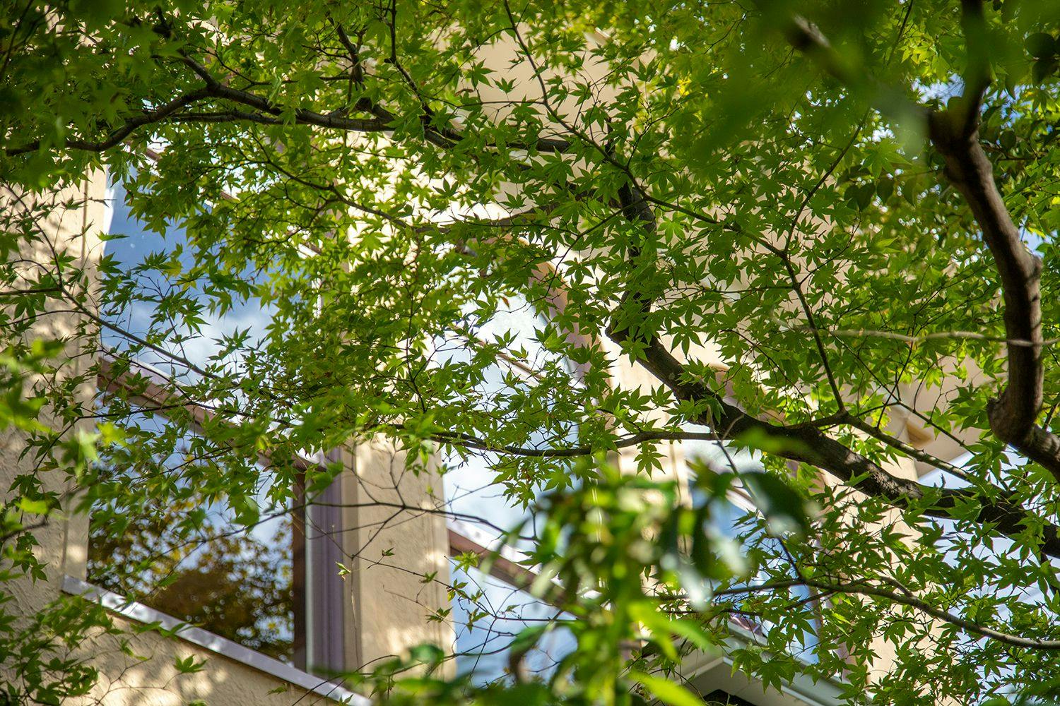 街中の喧騒から離れた静寂の別邸