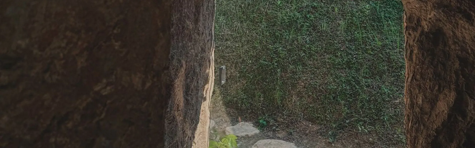 maison owl