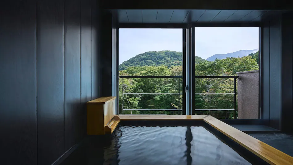 Hakone Hibarino