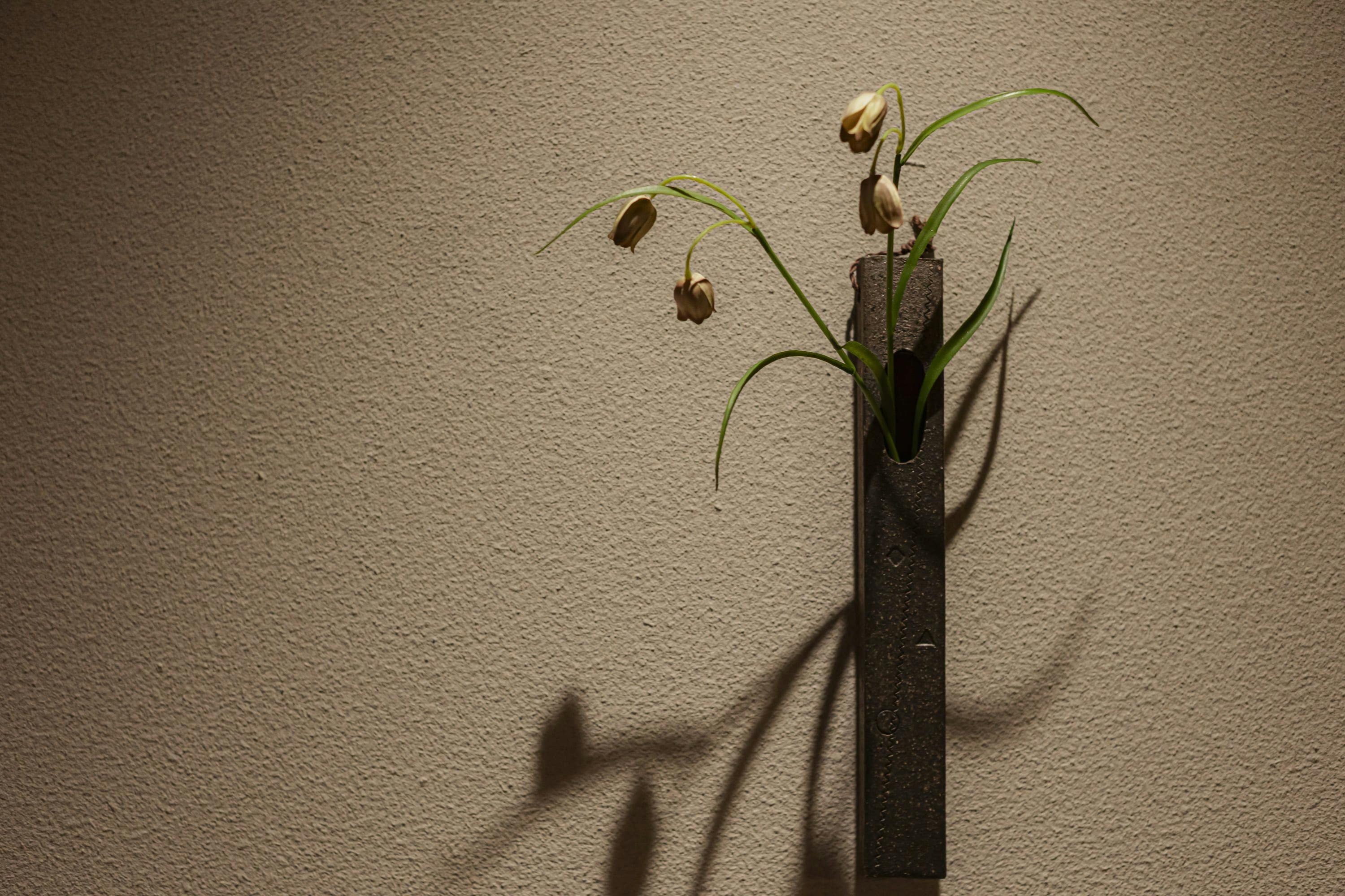 soyo-ka kyoto sanjo