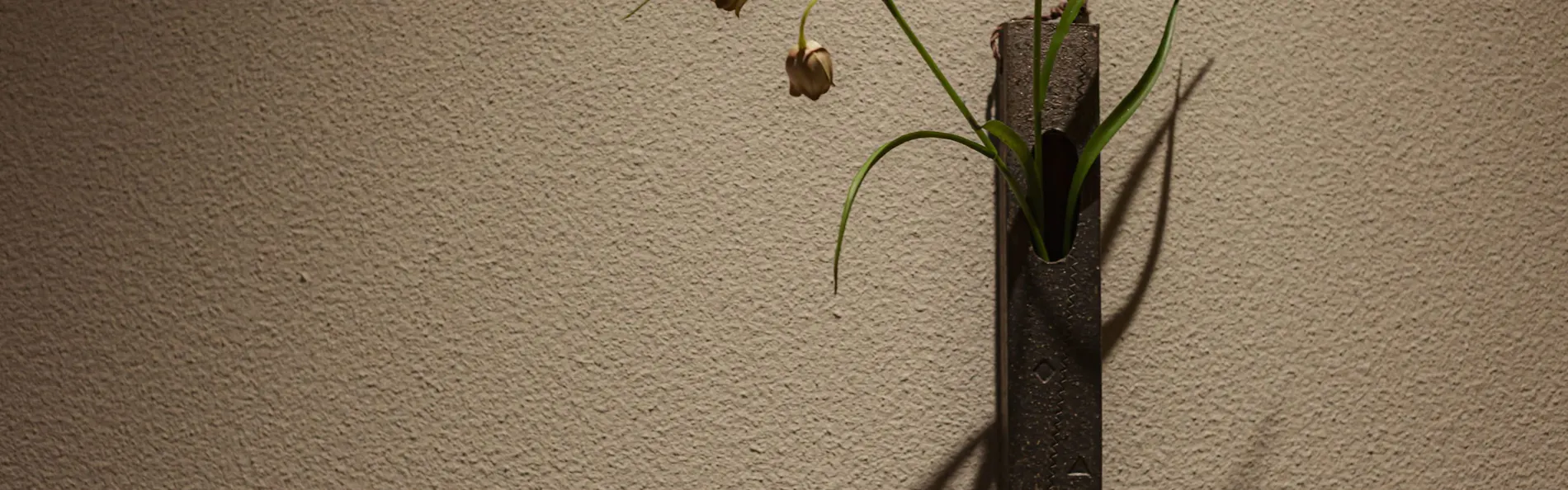 soyo-ka kyoto sanjo