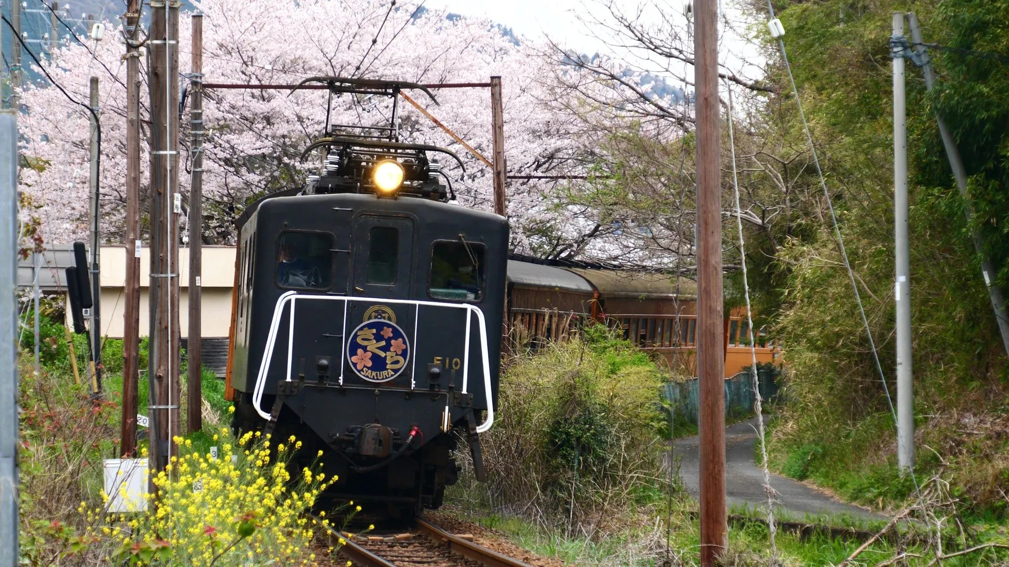 Kereta tidur ekspres “Sakura” beroperasi khusus untuk penumpang yang ingin menikmati hanami