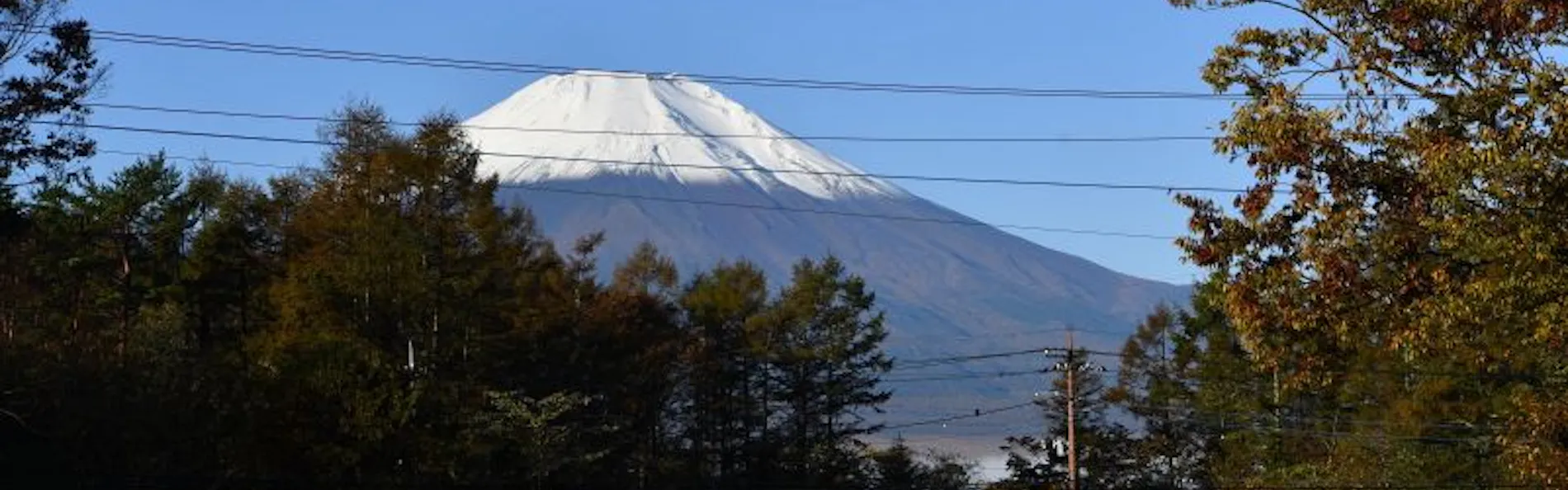 全室富士山ビュー 鉄板焼き&ワインの旬宿 夢野樹 ~山中湖~