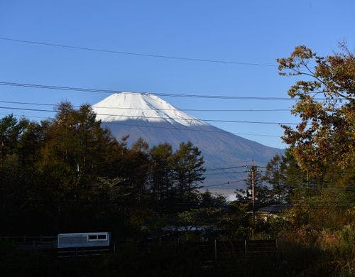 落着いた雰囲気の和室
