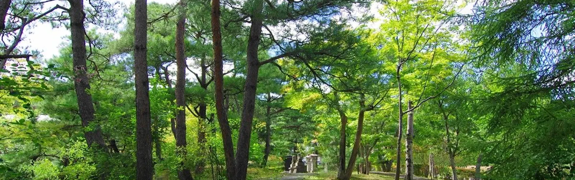 奥州秋保温泉 蘭亭