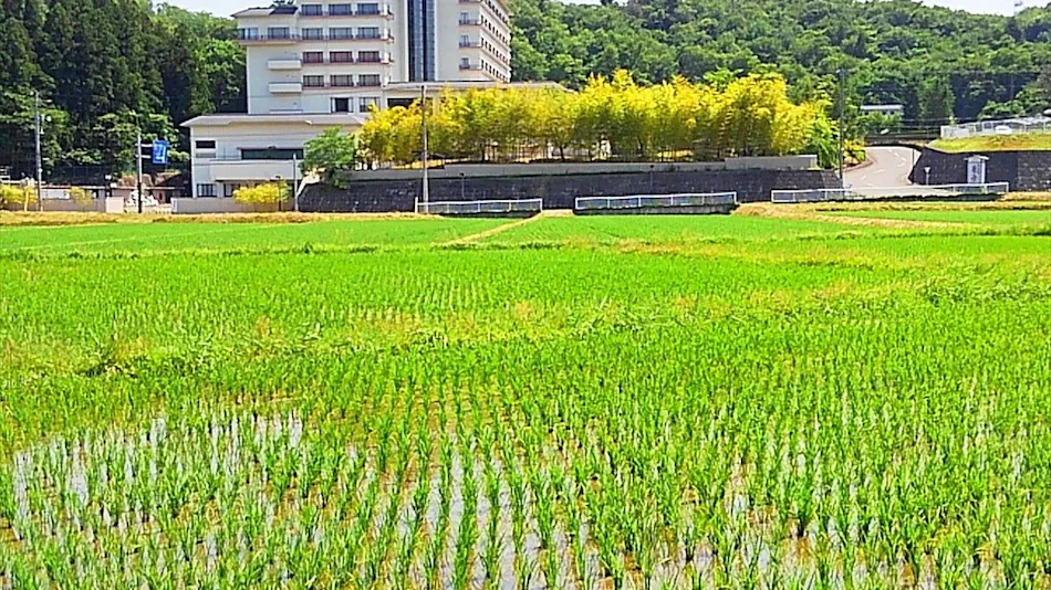 Oshu Akiu Onsen Rantei