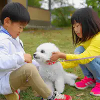 日帰りBBQと車中泊ならワンちゃん同伴可