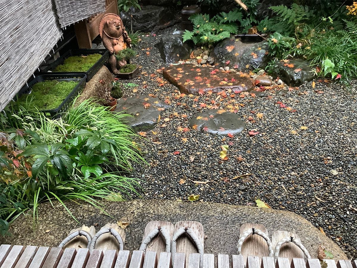 ・【坪庭】