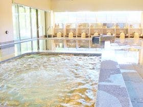 上諏訪温泉 浜の湯