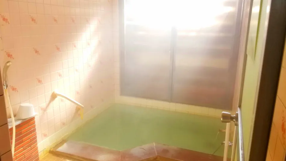Echigo Matsunoyama Onsen Ryounkaku