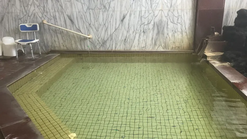 Echigo Matsunoyama Onsen Ryounkaku