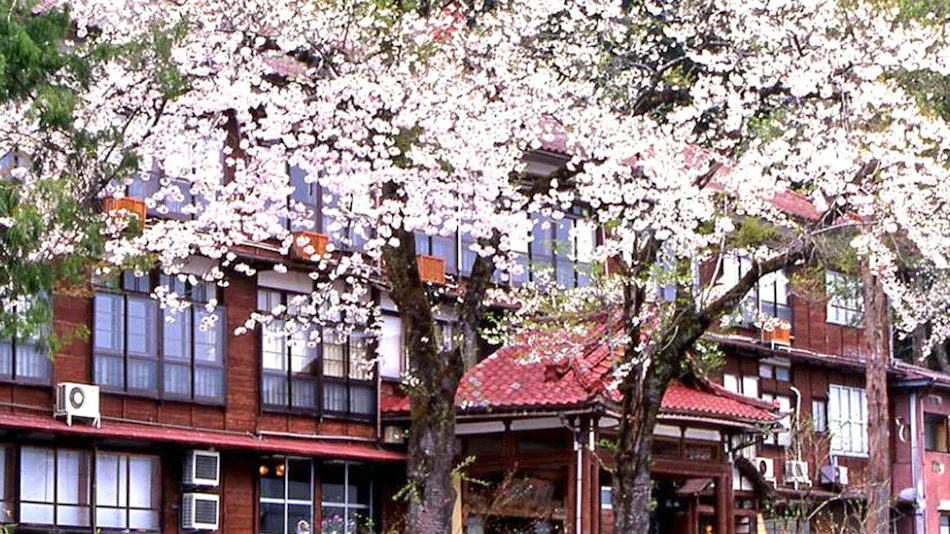 Echigo Matsunoyama Onsen Ryounkaku