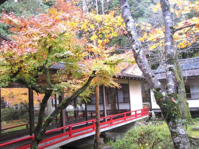 中庭の紅葉