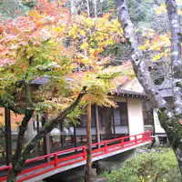 中庭の紅葉