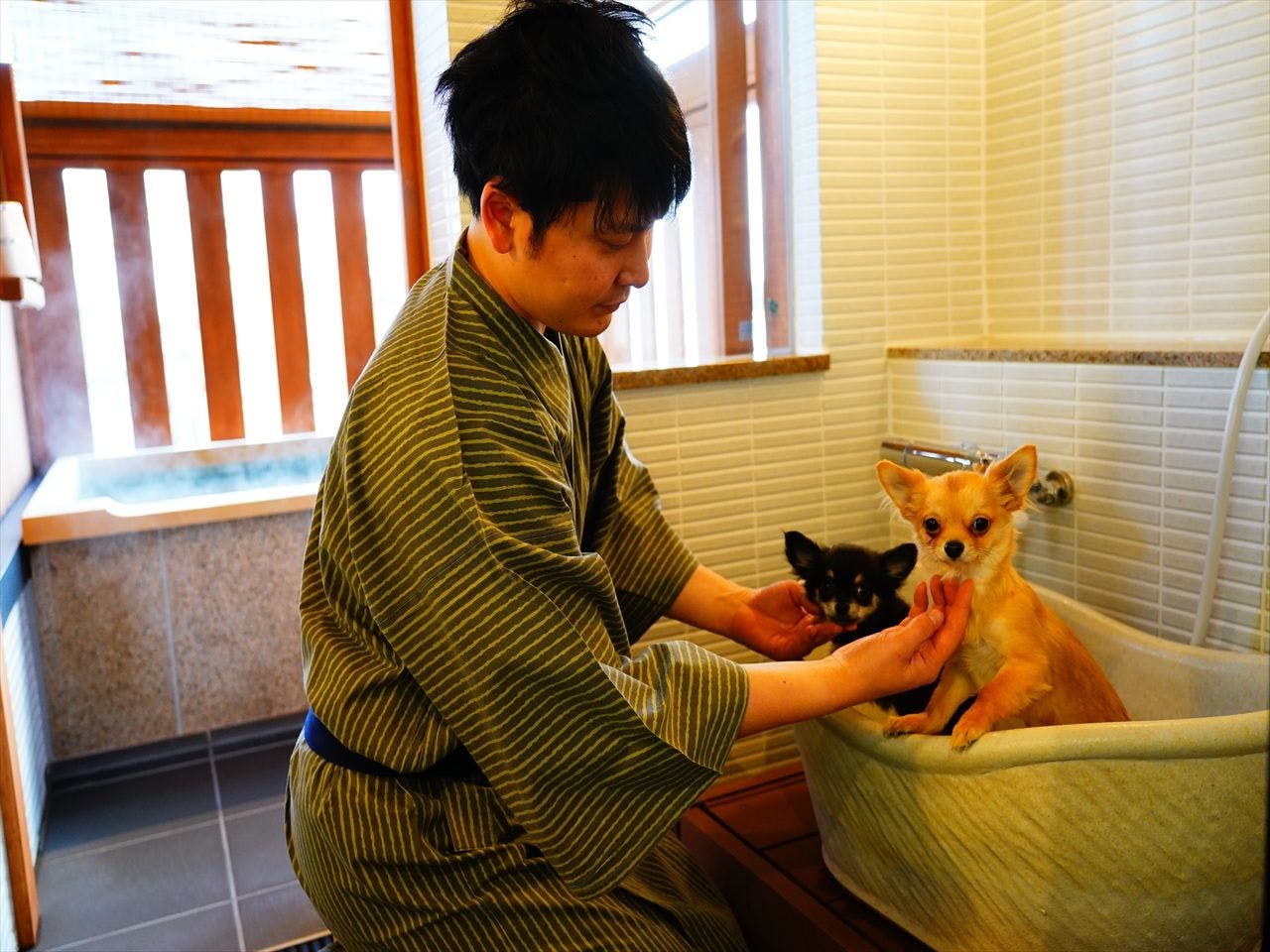 近畿 大阪以外 ペットと泊まれる宿 7選 お得に宿泊予約 Yahoo トラベル