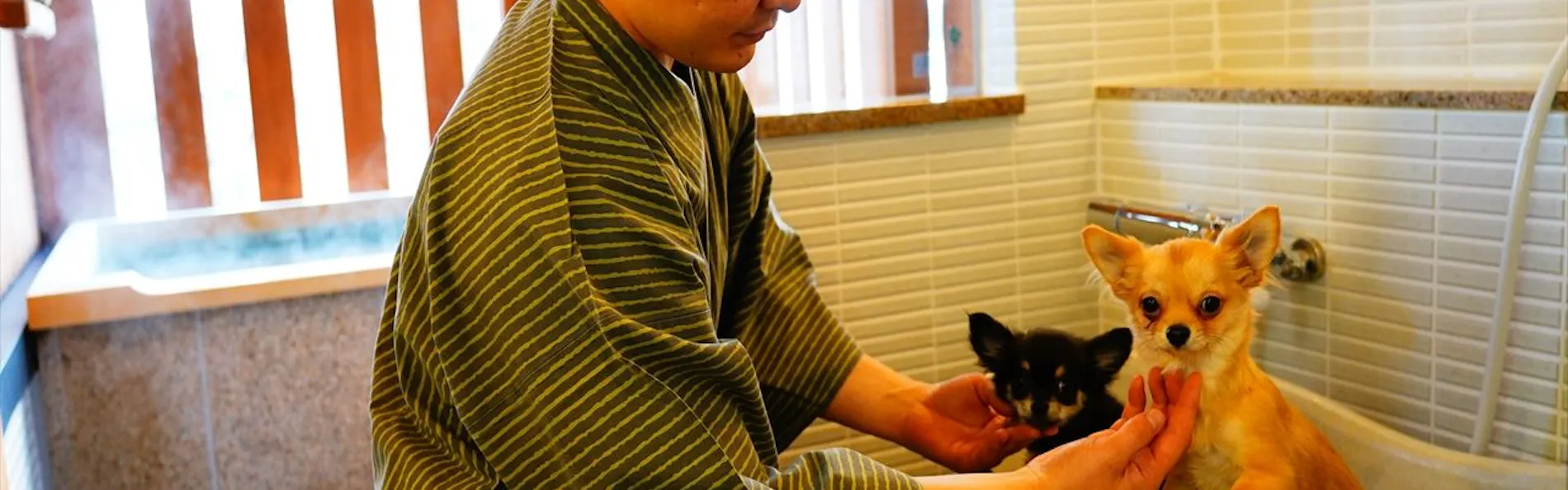 暖灯館きくのや