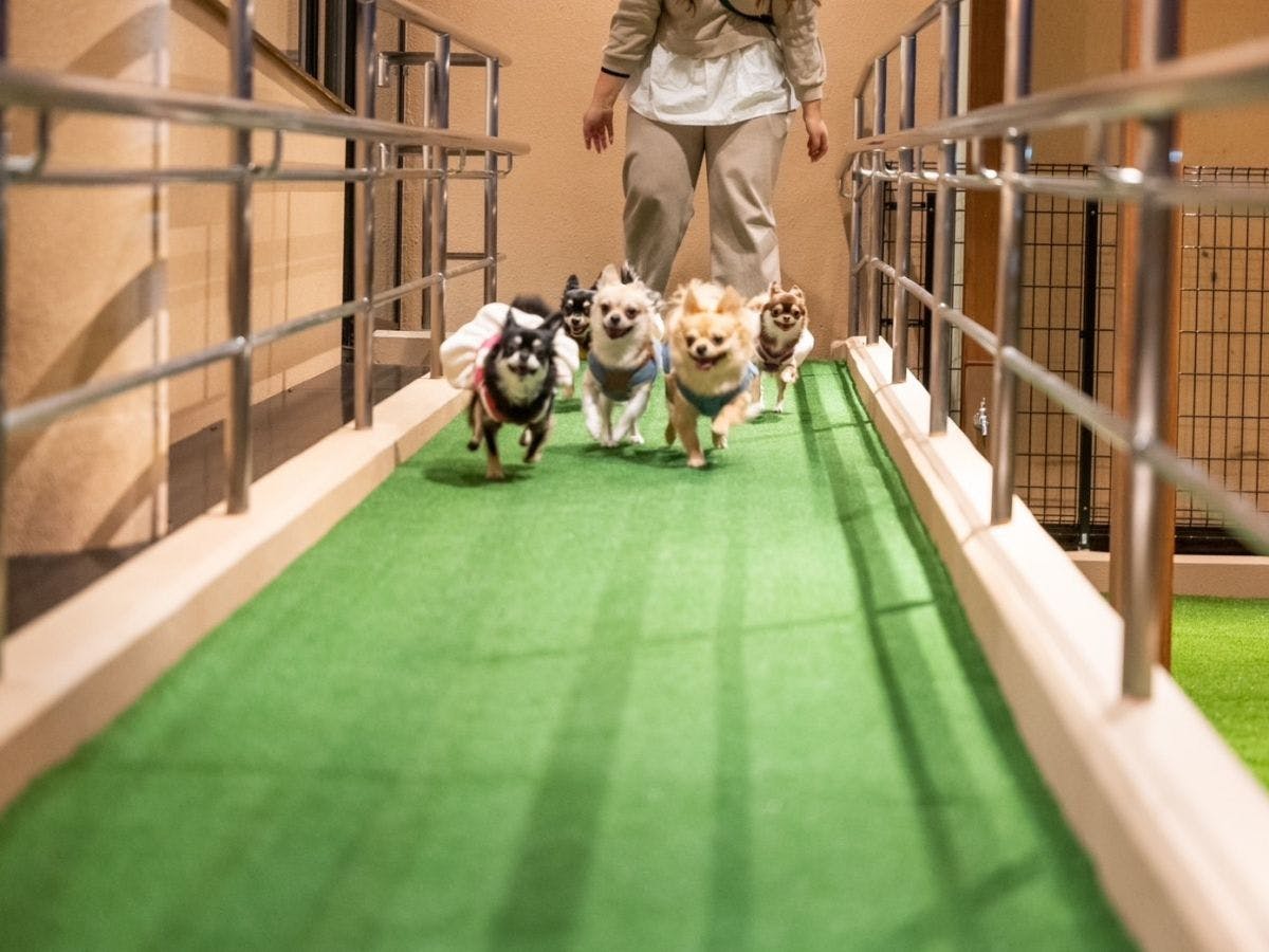 暖灯館きくのや