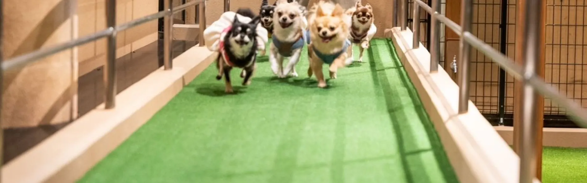 暖灯館きくのや