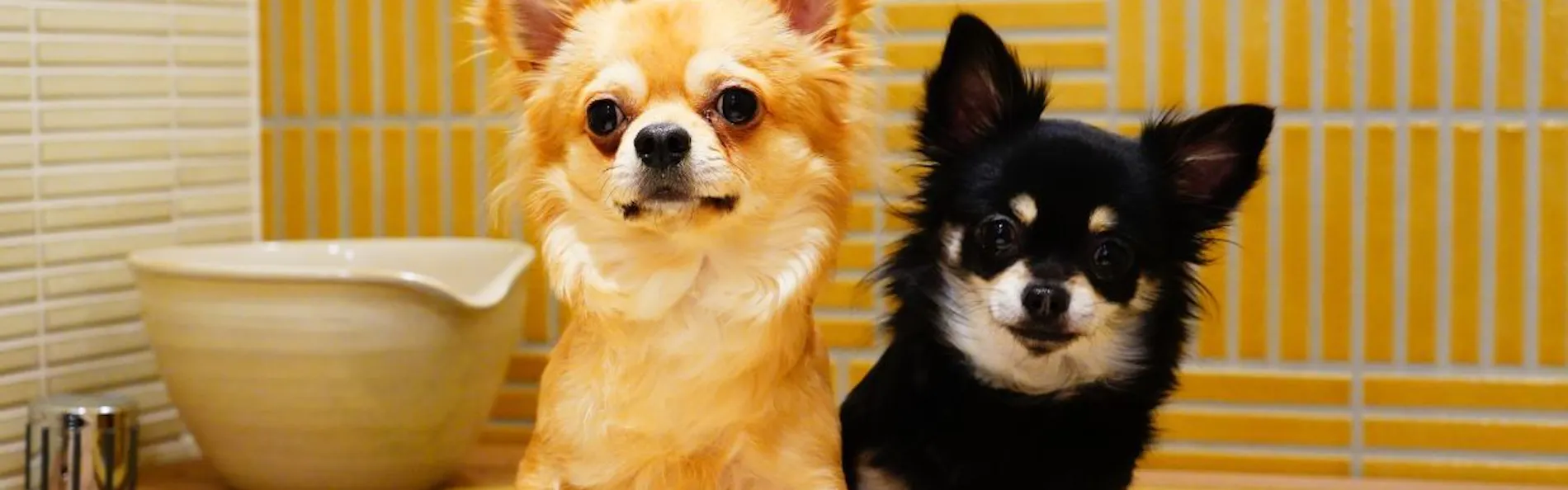 暖灯館きくのや