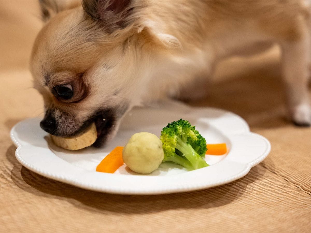 暖灯館きくのや