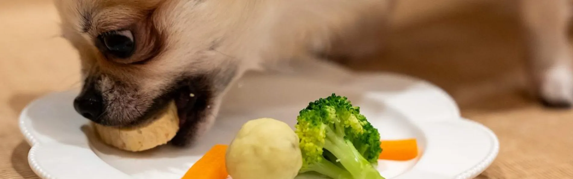 暖灯館きくのや