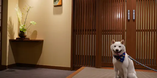 暖灯館きくのや