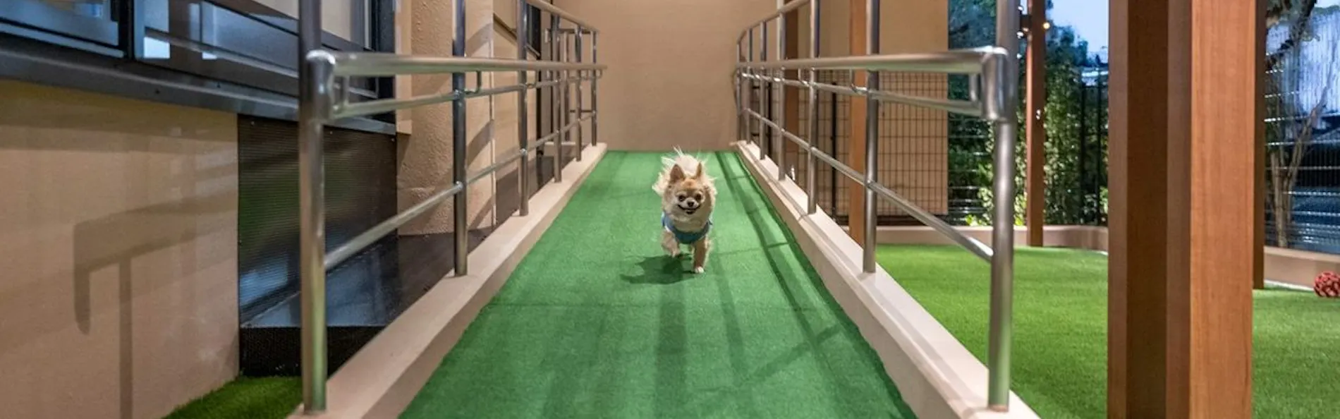 暖灯館きくのや