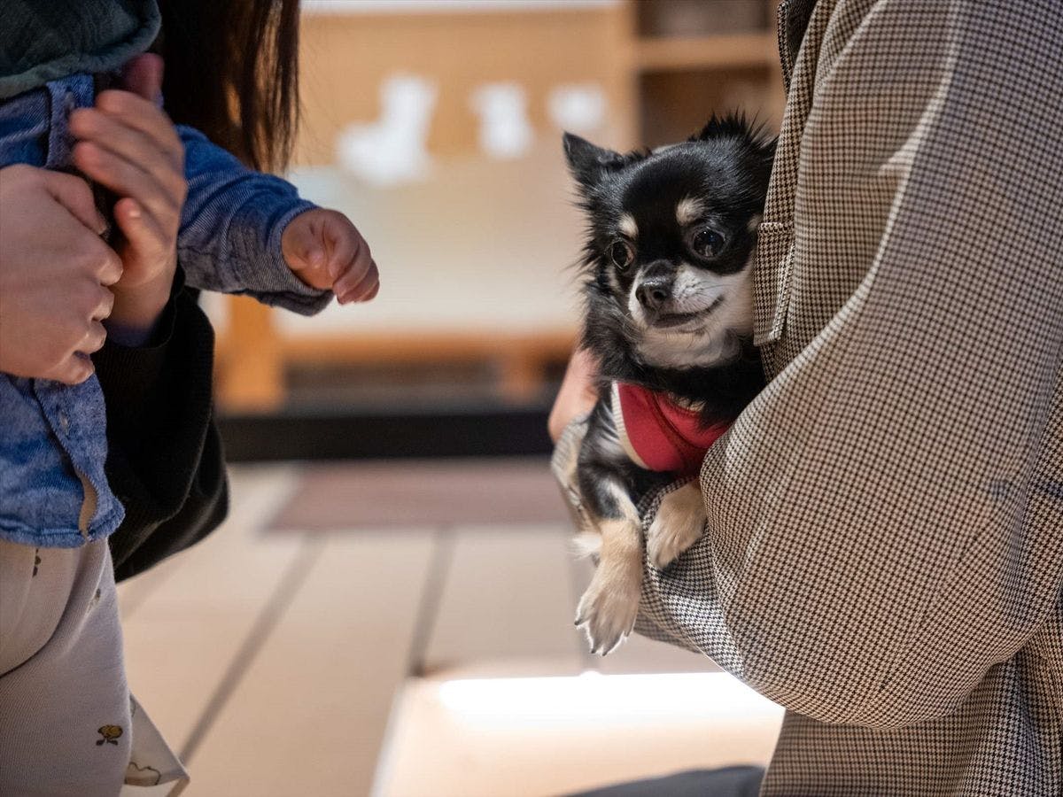 暖灯館きくのや